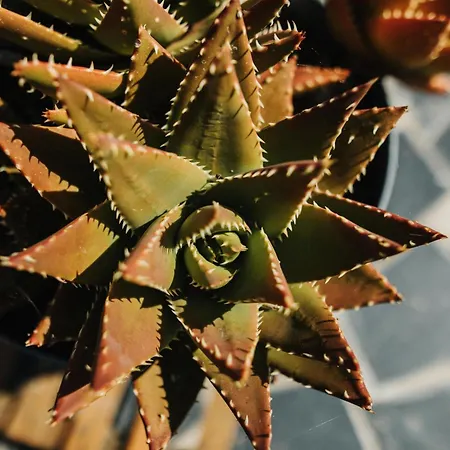 Nyaraló Cotes Et Maison Familiale En Bord De Urville-Nacqueville