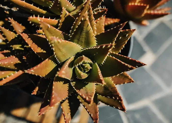 Prázdninový dům Cotes Et Maison Familiale En Bord De Urville-Nacqueville